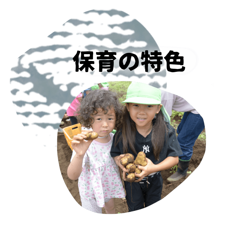 保育の特色